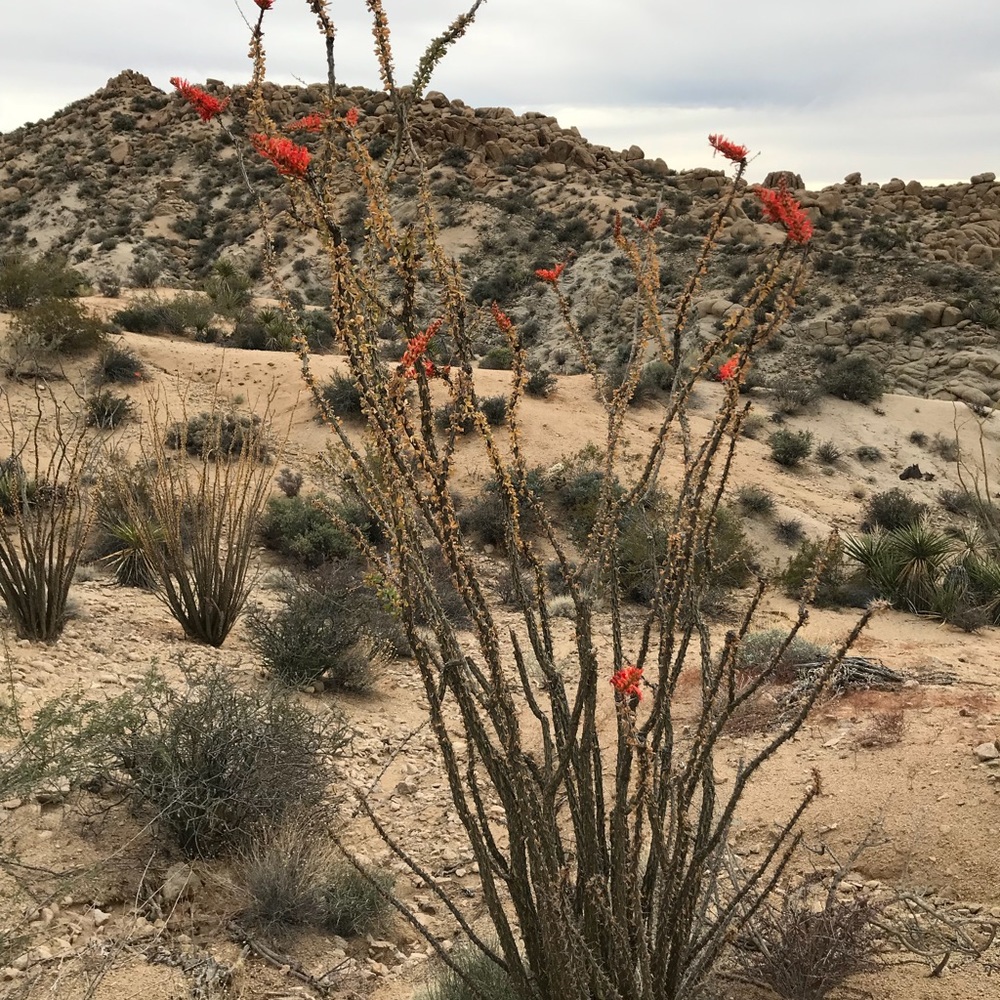 Meet your Posher, Carly